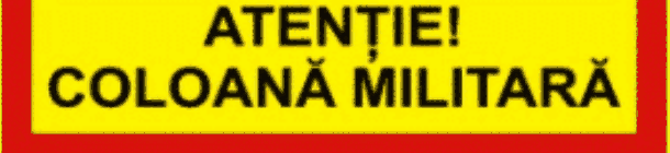 Semn distinctiv 16. Coloană militară