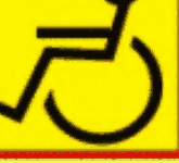 Semn distinctiv 8. Conducător persoană cu dizabilități