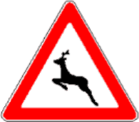 1.24.2 Animale