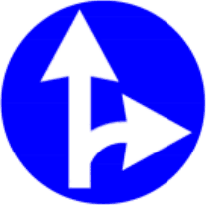 4.1.5 Direcție obligatorie de deplasare