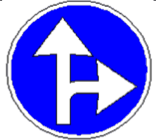 4.1.5 Direcție obligatorie de deplasare