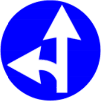 4.1.6 Direcție obligatorie de deplasare