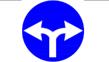 4.1.7 Direcție obligatorie de deplasare