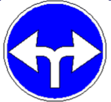 4.1.7 Direcție obligatorie de deplasare