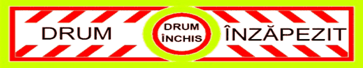 T6.4 Drum înzăpezit